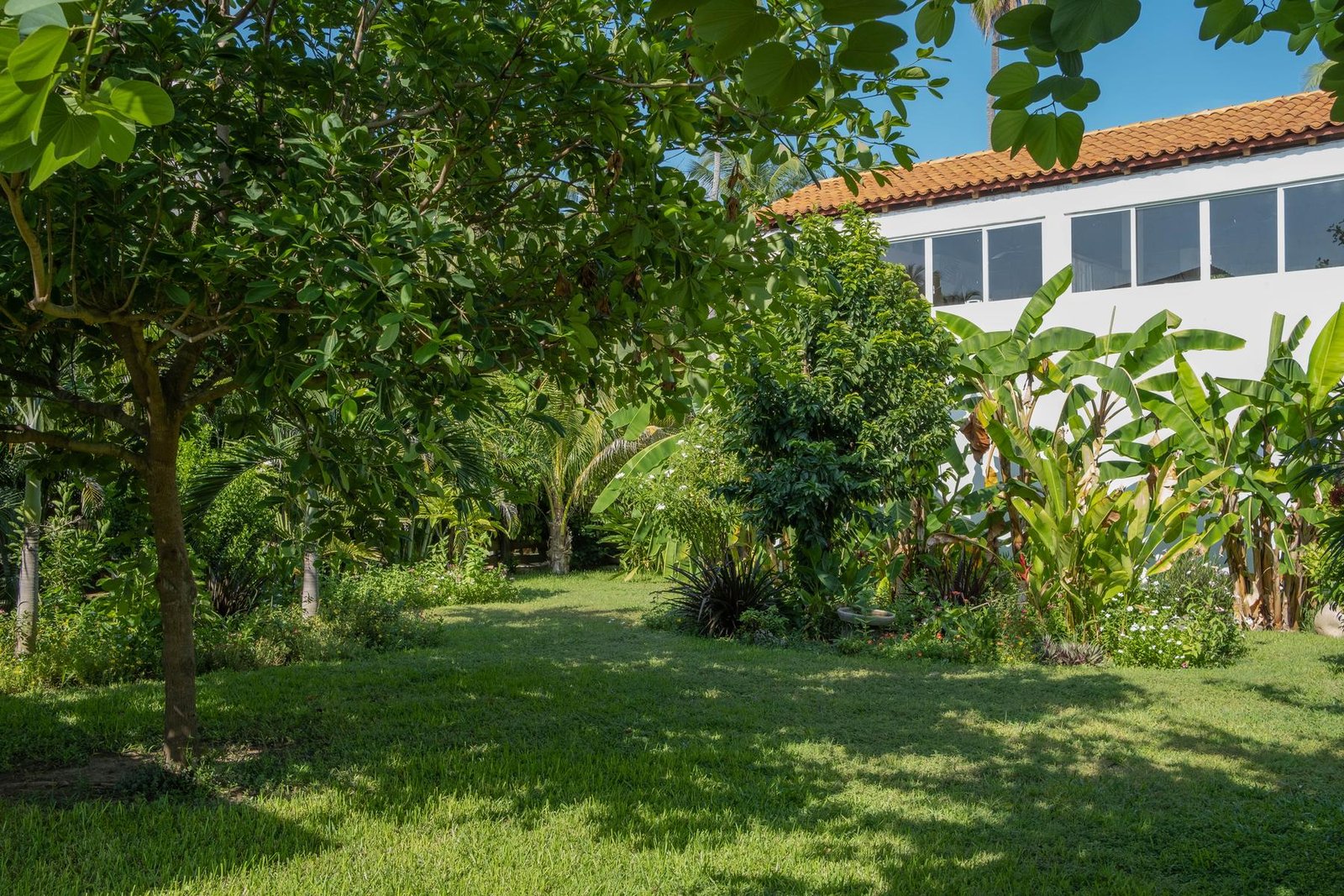 Large private lawn and tropical garden at Casa Nisha with palms and banana trees